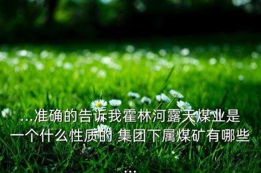 ...準確的告訴我霍林河露天煤業(yè)是一個什么性質的 集團下屬煤礦有哪些...