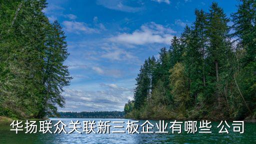 華揚聯(lián)眾關聯(lián)新三板企業(yè)有哪些 公司