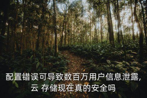 配置錯(cuò)誤可導(dǎo)致數(shù)百萬(wàn)用戶(hù)信息泄露,云 存儲(chǔ)現(xiàn)在真的安全嗎