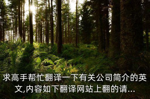 求高手幫忙翻譯一下有關公司簡介的英文,內容如下翻譯網(wǎng)站上翻的請...