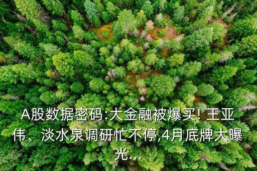 A股數(shù)據(jù)密碼:大金融被爆買(mǎi)! 王亞偉、淡水泉調(diào)研忙不停,4月底牌大曝光...