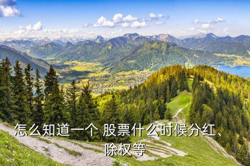 怎么知道一個(gè) 股票什么時(shí)候分紅、 除權(quán)等
