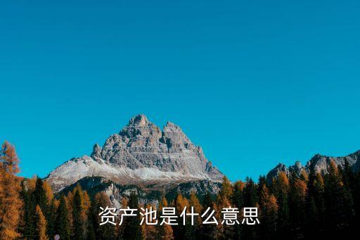 資產池是什么意思