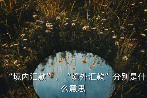 “境內(nèi)匯款”、“境外匯款”分別是什么意思