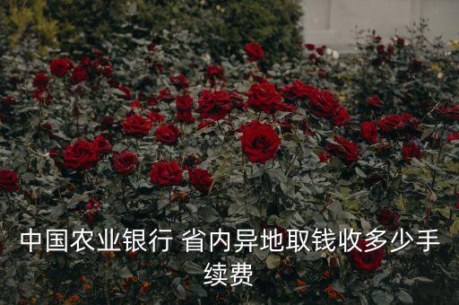 中國農業(yè)銀行 省內異地取錢收多少手續(xù)費