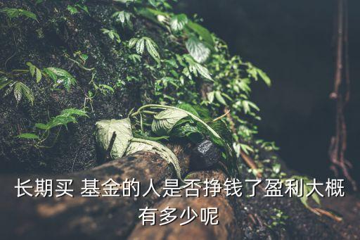 長(zhǎng)期買 基金的人是否掙錢了盈利大概有多少呢