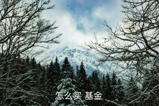 怎么買(mǎi) 基金