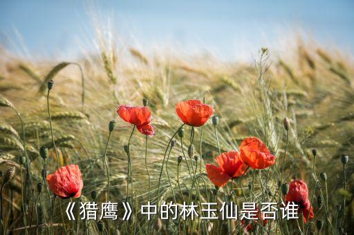 《獵鷹》中的林玉仙是否誰(shuí)