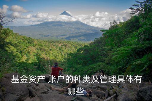  基金資產(chǎn) 賬戶(hù)的種類(lèi)及管理具體有哪些