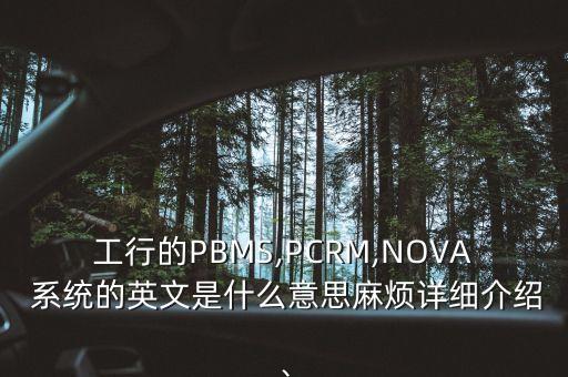 工行的PBMS,PCRM,NOVA 系統(tǒng)的英文是什么意思麻煩詳細介紹、
