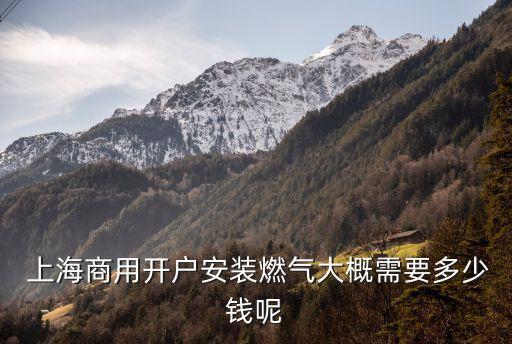  上海商用開(kāi)戶安裝燃?xì)獯蟾判枰嗌馘X呢