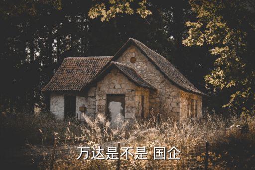  萬(wàn)達(dá)是不是 國(guó)企