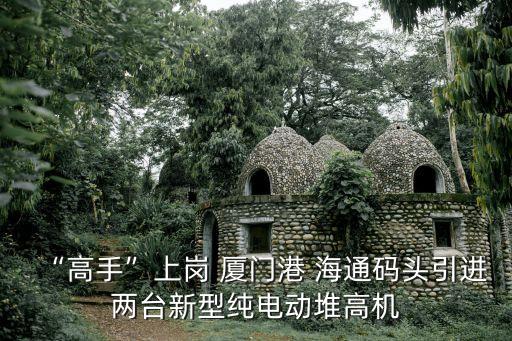 “高手”上崗 廈門港 海通碼頭引進(jìn)兩臺(tái)新型純電動(dòng)堆高機(jī)