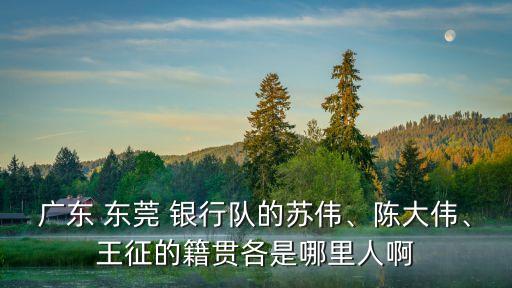 廣東 東莞 銀行隊的蘇偉、陳大偉、王征的籍貫各是哪里人啊