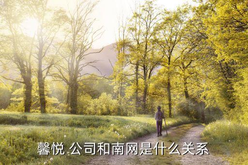 馨悅 公司和南網(wǎng)是什么關系