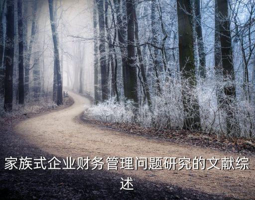 家族式企業(yè)財務(wù)管理問題研究的文獻綜述