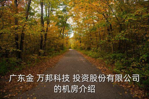 廣東金 萬(wàn)邦科技 投資股份有限公司的機(jī)房介紹