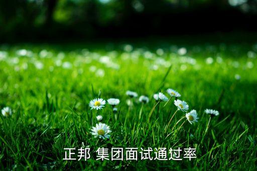  正邦 集團面試通過率