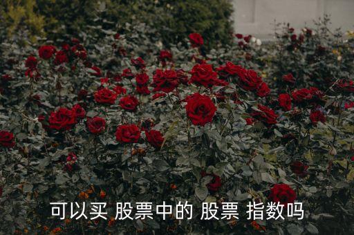 可以買(mǎi) 股票中的 股票 指數(shù)嗎