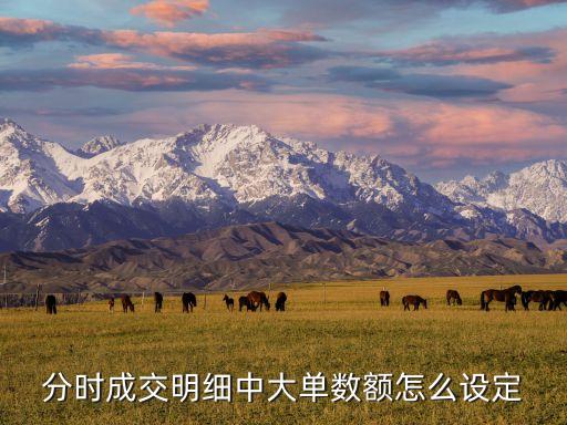 分時成交明細中大單數(shù)額怎么設定