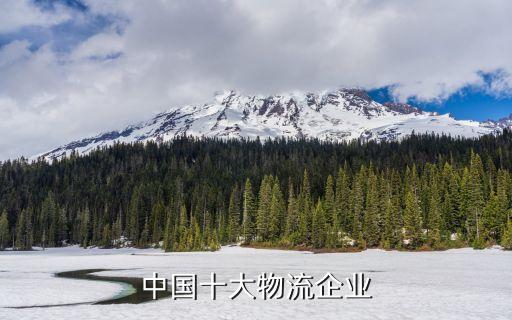 中國遠(yuǎn)洋運輸集團(tuán)采購