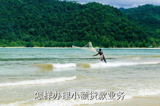 怎樣辦理小額貸款業(yè)務