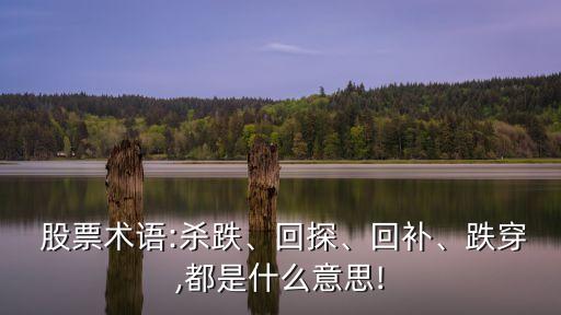  股票術(shù)語:殺跌、回探、回補、跌穿,都是什么意思!