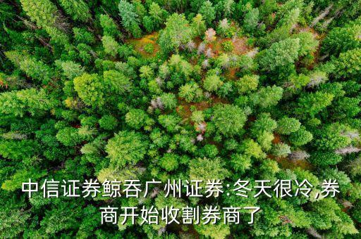 關于華南期貨經紀有限公司停業(yè)的公告