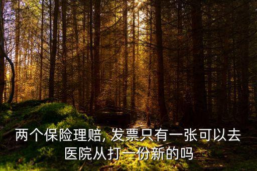 兩個(gè)保險(xiǎn)理賠, 發(fā)票只有一張可以去醫(yī)院從打一份新的嗎