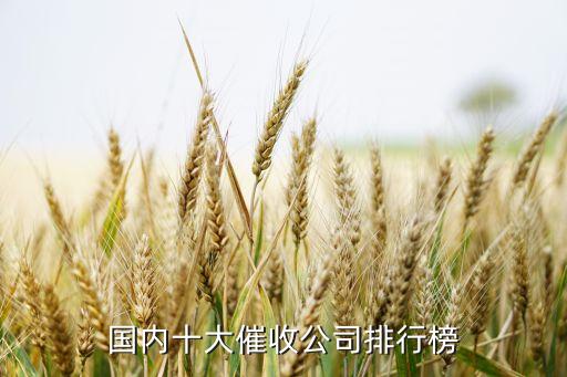 國內十大催收公司排行榜