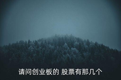 請(qǐng)問創(chuàng)業(yè)板的 股票有那幾個(gè)