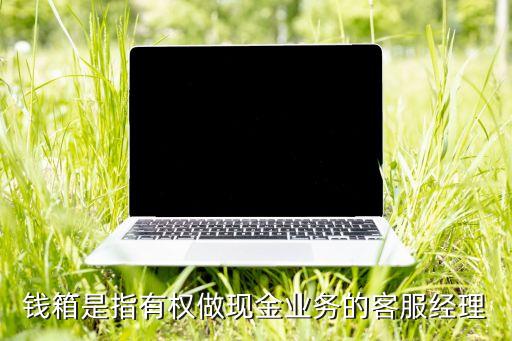 銀行放錢(qián)的塑料箱,銀行現(xiàn)金箱能放多少錢(qián)