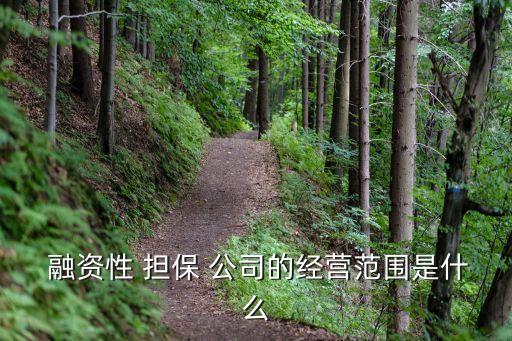  融資性 擔保 公司的經(jīng)營范圍是什么