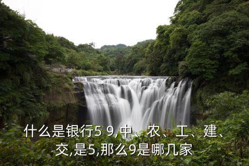 什么是銀行5 9,中、農(nóng)、工、建、交,是5,那么9是哪幾家
