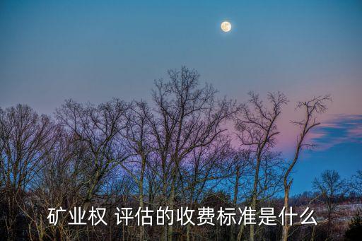  礦業(yè)權(quán) 評估的收費標(biāo)準(zhǔn)是什么