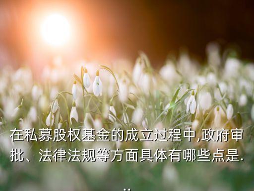在私募股權(quán)基金的成立過(guò)程中,政府審批、法律法規(guī)等方面具體有哪些點(diǎn)是...