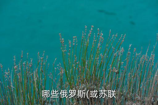 各國(guó)領(lǐng)導(dǎo)人來(lái)中國(guó)