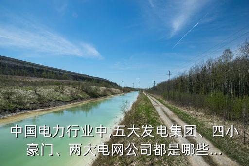中國(guó)電力行業(yè)中,五大發(fā)電集團(tuán)、四小豪門、兩大電網(wǎng)公司都是哪些...