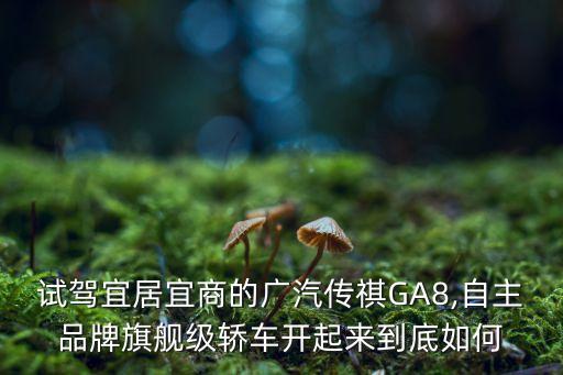 試駕宜居宜商的廣汽傳祺GA8,自主品牌旗艦級(jí)轎車開起來(lái)到底如何
