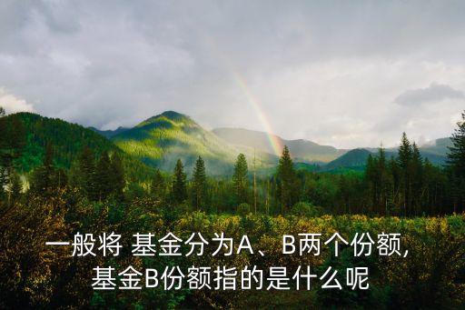 一般將 基金分為A、B兩個(gè)份額, 基金B(yǎng)份額指的是什么呢