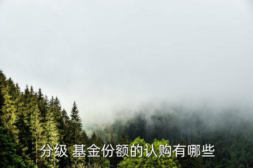 分級 基金份額的認(rèn)購有哪些