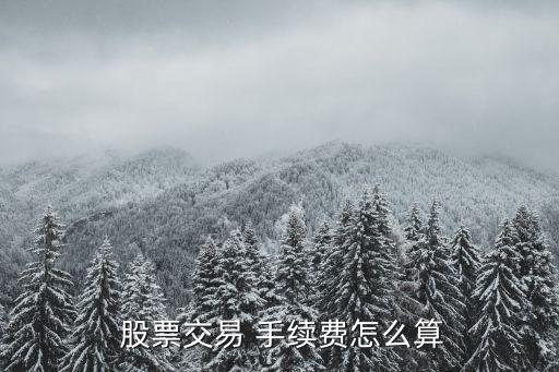 購買股票手續(xù)費(fèi)多少,股票購買時間和賣出時間