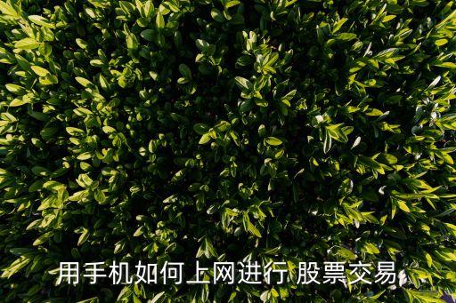 用手機如何上網(wǎng)進行 股票交易