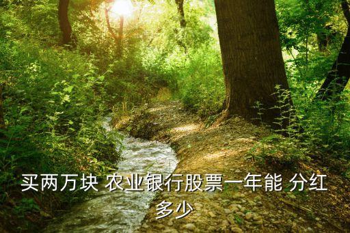 買兩萬塊 農業(yè)銀行股票一年能 分紅多少