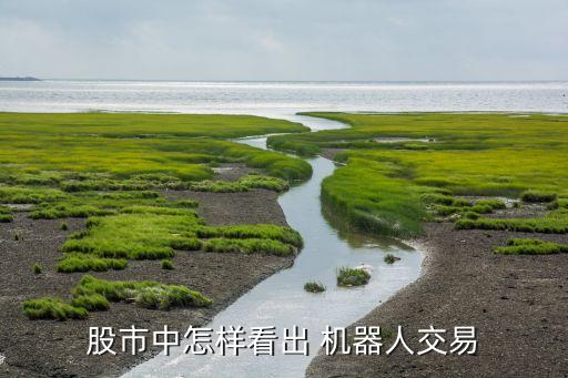 股票很多相同成交機器單,股票成交相同的數(shù)反復出現(xiàn)