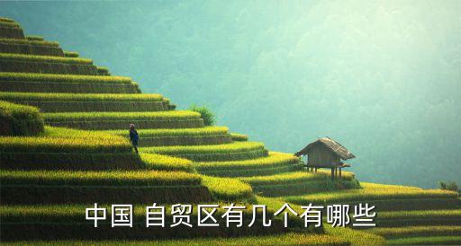 中國 自貿(mào)區(qū)有幾個(gè)有哪些