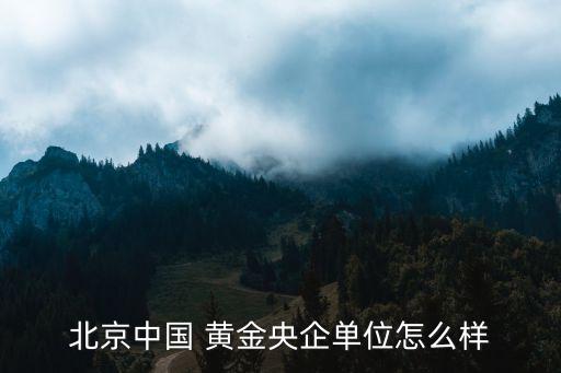 中國黃金集團財務(wù)有限公司