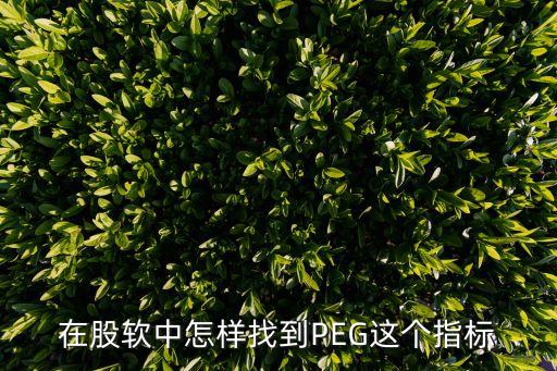 在股軟中怎樣找到PEG這個指標(biāo)