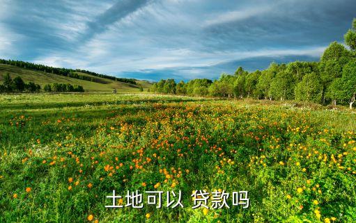 中國首個土地經(jīng)營權抵押貸款樣本,農(nóng)村承包土地經(jīng)營權抵押貸款試點暫行辦法