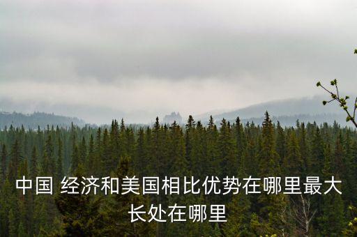 中國經(jīng)濟的獨特之處